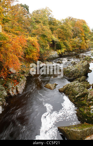 Falls of Feugh in Autumn. Near Banchory, Aberdeenshire, Scotland. October. Stock Photo