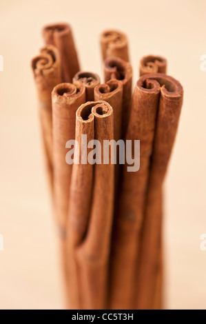 Bunch of Cinnamon sticks Stock Photo