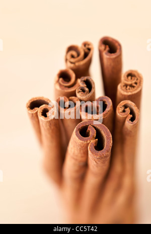 Bunch of Cinnamon sticks. Narrow DoF Stock Photo