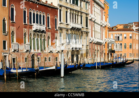 Gondolas Moored on the Grand Canal, Venice Stock Photo