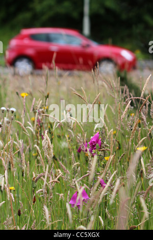 A petrol powered car driving past a meadow of wild flowers. Stock Photo