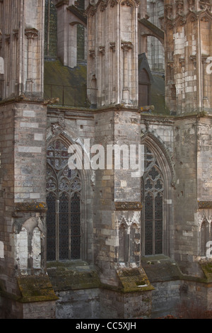 The side of St Gatien cathedral in Tours, France. The cathedral has been undergoing major restoration works in recent times. Stock Photo