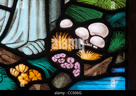 Stained glass detail, St. Nicholas Church, Kenilworth, Warwickshire, England, UK Stock Photo