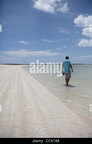 A man walks in the crystal clear seas of the Indian Ocean at Shell Beach in Shark Bay Stock Photo