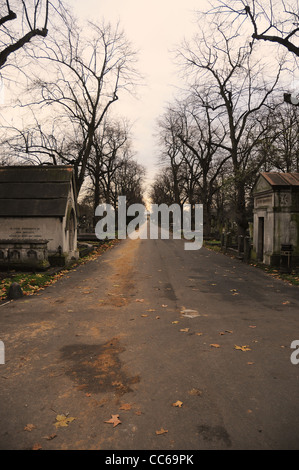 A path in a cemetery leading to a church surrounded by tombstones. Stock Photo