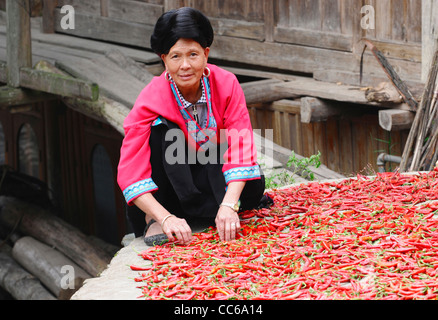 Red Yao woman drying cayenne pepper, Huangluo Yao Village, Longsheng, Guilin, Guangxi , China Stock Photo