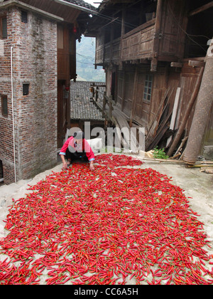 Red Yao woman drying cayenne pepper, Huangluo Yao Village, Longsheng, Guilin, Guangxi , China Stock Photo