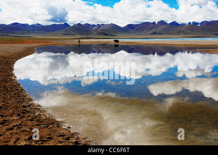 Namtso Lake, Lhasa, Tibet, China Stock Photo