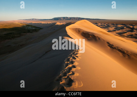 the sand dunes of Khongoryn Els at sunset in the Gobi Desert of Mongolia Stock Photo