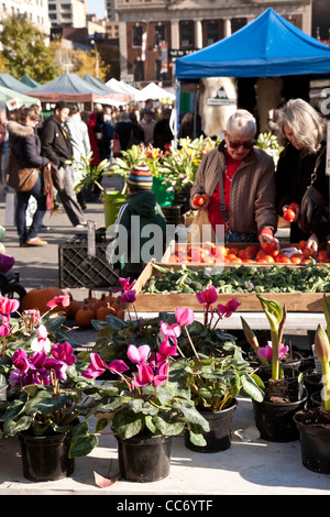 Union Square Farmers' Market, NYC Stock Photo