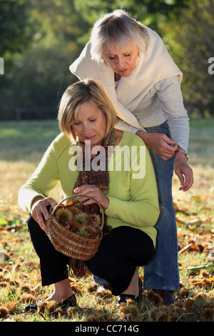 Mother and daughter gathering chestnuts in garden Stock Photo