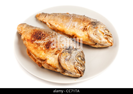 Closeup of roasted gilt head bream isolated on white background Stock Photo