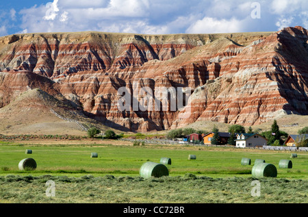 Red rock cliffs and newly harvested alfalfa hay near Dubois, Wyoming, USA. Stock Photo