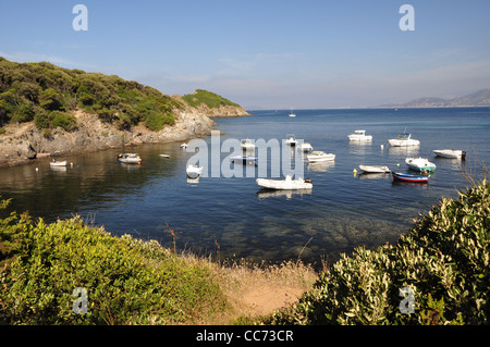 Boats to the mooring 'La Madrague de Giens' Stock Photo
