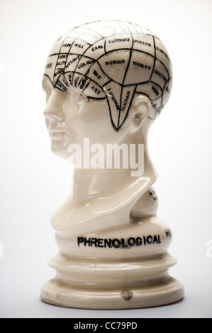 a phrenology head Stock Photo