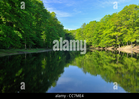 Mohnesee, Soest District, Suedufer, North Rhine-Westphalia, Germany Stock Photo