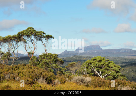 Cradle Mountain, Cradle Mountain-Lake St Clair National Park, UNESCO World Heritage Area, Tasmania, Australia Stock Photo