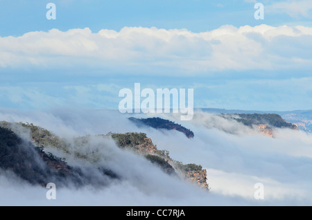 Morning Fog at Lake Burragorang, Burragorang State Conservation Area, New South Wales, Australia Stock Photo