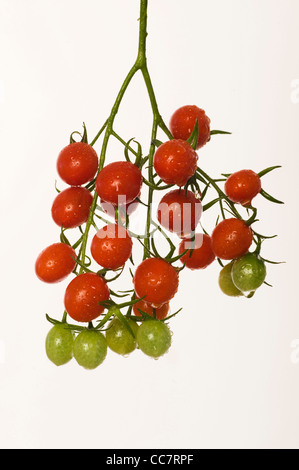 cherry grape tomatoes Stock Photo