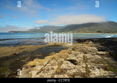 Tessellated Pavement, Pirates Bay, Tasman Peninsula, Tasmania, Australia Stock Photo