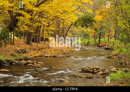Barwidgee Creek, Myrtleford, Victoria, Australia Stock Photo
