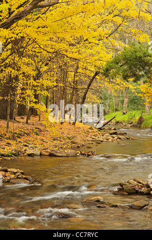 Barwidgee Creek, Myrtleford, Victoria, Australia Stock Photo