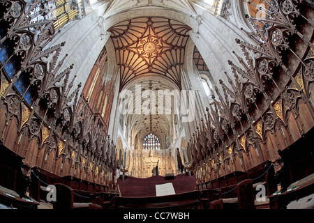 Choir stalls at Winchester Cathedral in widewangle format with partial ceiling structure Stock Photo