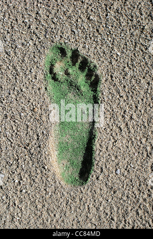 Green Carbon Footprint in Coral Beach Sand Stock Photo