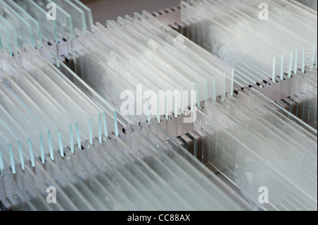 Rows of glass microscope slides ready for use in research with cover slips in tray organized for scientific research Stock Photo