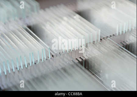 Rows of glass microscope slides ready for use in research with cover slips in tray organized for scientific research Stock Photo