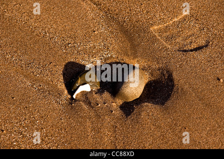 Two small pebbles beside a shoe imprint in the sand on a sunny January day at Broughty Ferry Beach, Dundee, UK Stock Photo