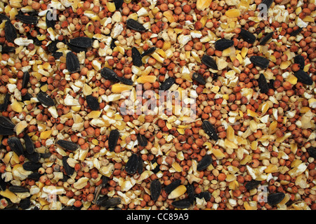 Mixed bird seed Stock Photo - Alamy