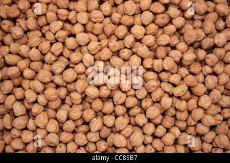 dried chickpea or garbanzo bean background Stock Photo