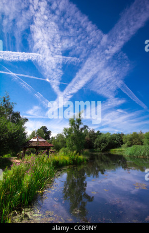 WWT London Wetland Centre Stock Photo