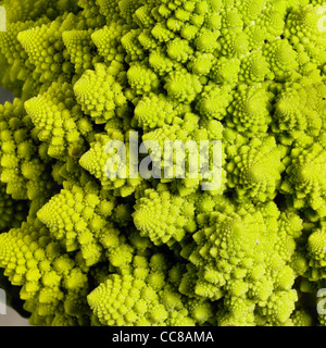 abstract full frame background with a romanesco cauliflower closeup Stock Photo