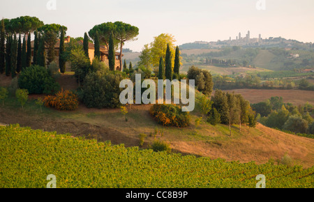 Landscape with Vineyard and Agritourism Lodge near San Gimignano in Tuscany (Toscana), Italy Stock Photo