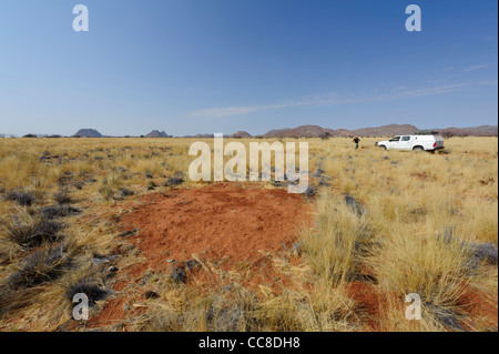 A 'fairy circle' in Marienfluss. Kaokoland, Kunene Region. Namibia Stock Photo