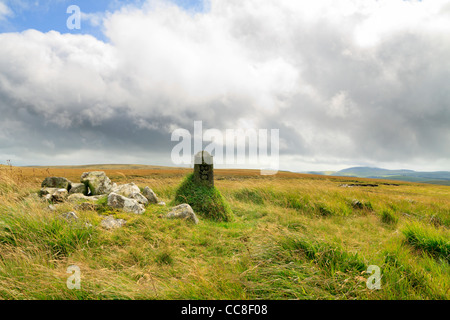 One of many Boundary Stones for The Elan Valley Estate Stock Photo