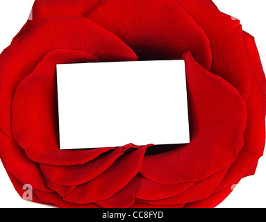 Rose frame & blank greeting card isolated on white background, conceptual image of love & Valentine's day holiday Stock Photo