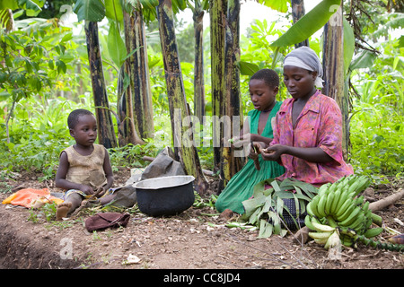 A family prepares a meal of bananas in Masaka, Uganda, East Africa. Stock Photo