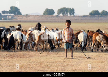Lower caste Indian boy. Son of an Indian goat herding family standing in front of the herd. Andhra Pradesh, India Stock Photo