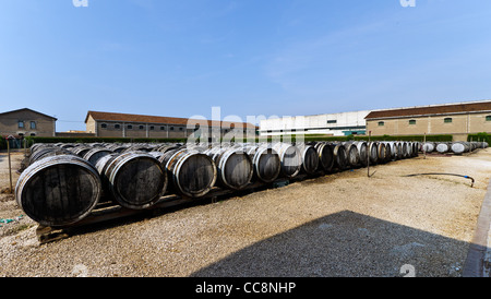 wine barrels with vermouth Stock Photo