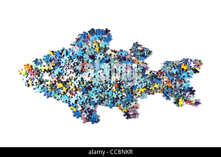 fish made from the puzzle , isolated Stock Photo