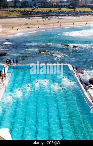 Pool at Bondi Icebergs Surf Life Saving at Bondi Beach Sydney with swimming race Stock Photo