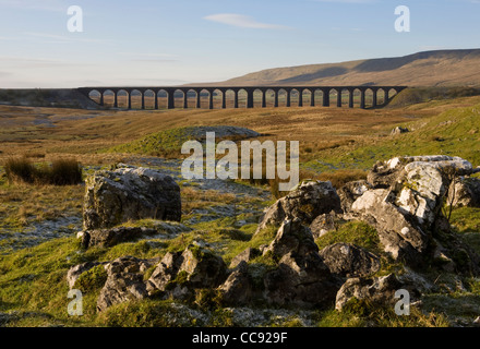 Limestone Pavement at the Ribblehead Viaduct across the River Ribble at Ribblehead, Chapel-le-dale in North Yorkshire, UK Stock Photo