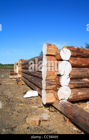 construction of the new wooden rural building Stock Photo