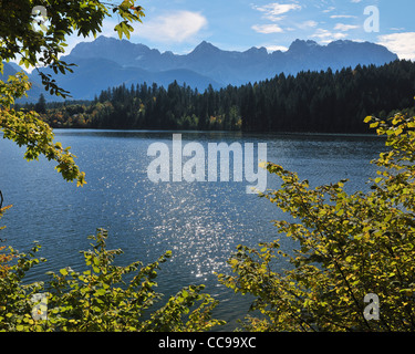 Autumn Leaves, Lake Barmsee, Karwendel Range, Kruen, Upper Bavaria, Bavaria, Germany Stock Photo