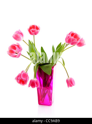 Pink vase with Dutch tulips over white background Stock Photo