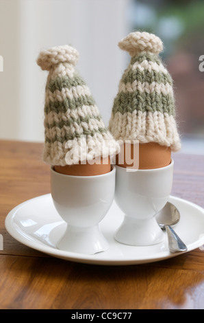 Boiled eggs Stock Photo