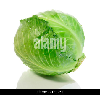 fresh cabbage on white background Stock Photo